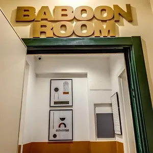 Baboon Roma